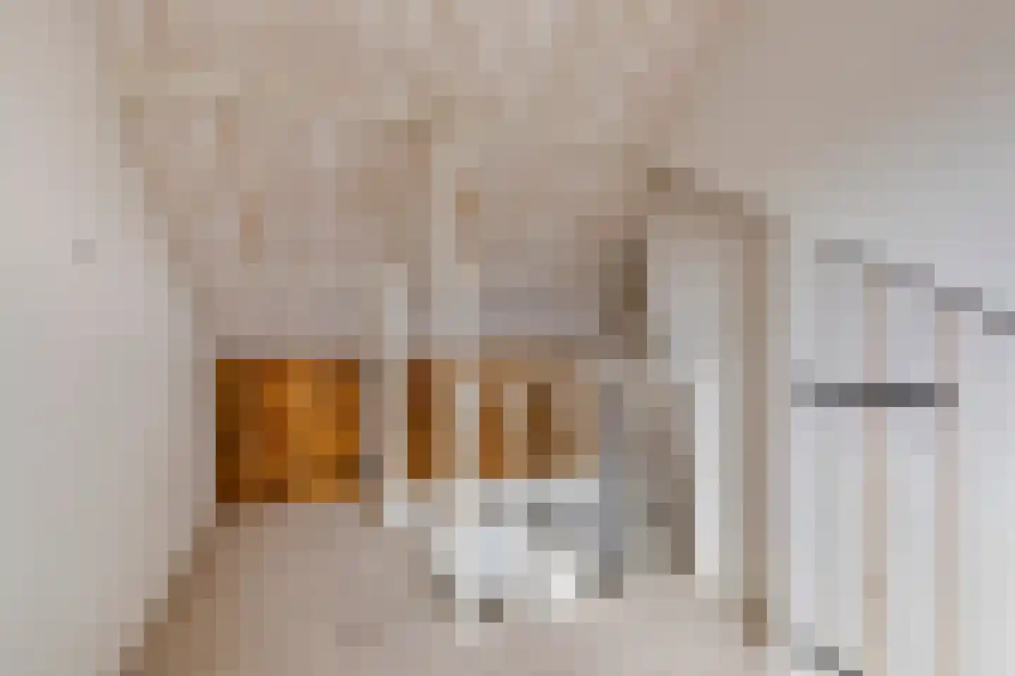 Vendelierstraat 2 Oirschot thumbnail 34