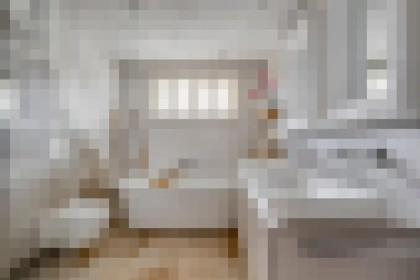 Vendelierstraat 2 Oirschot thumbnail 4
