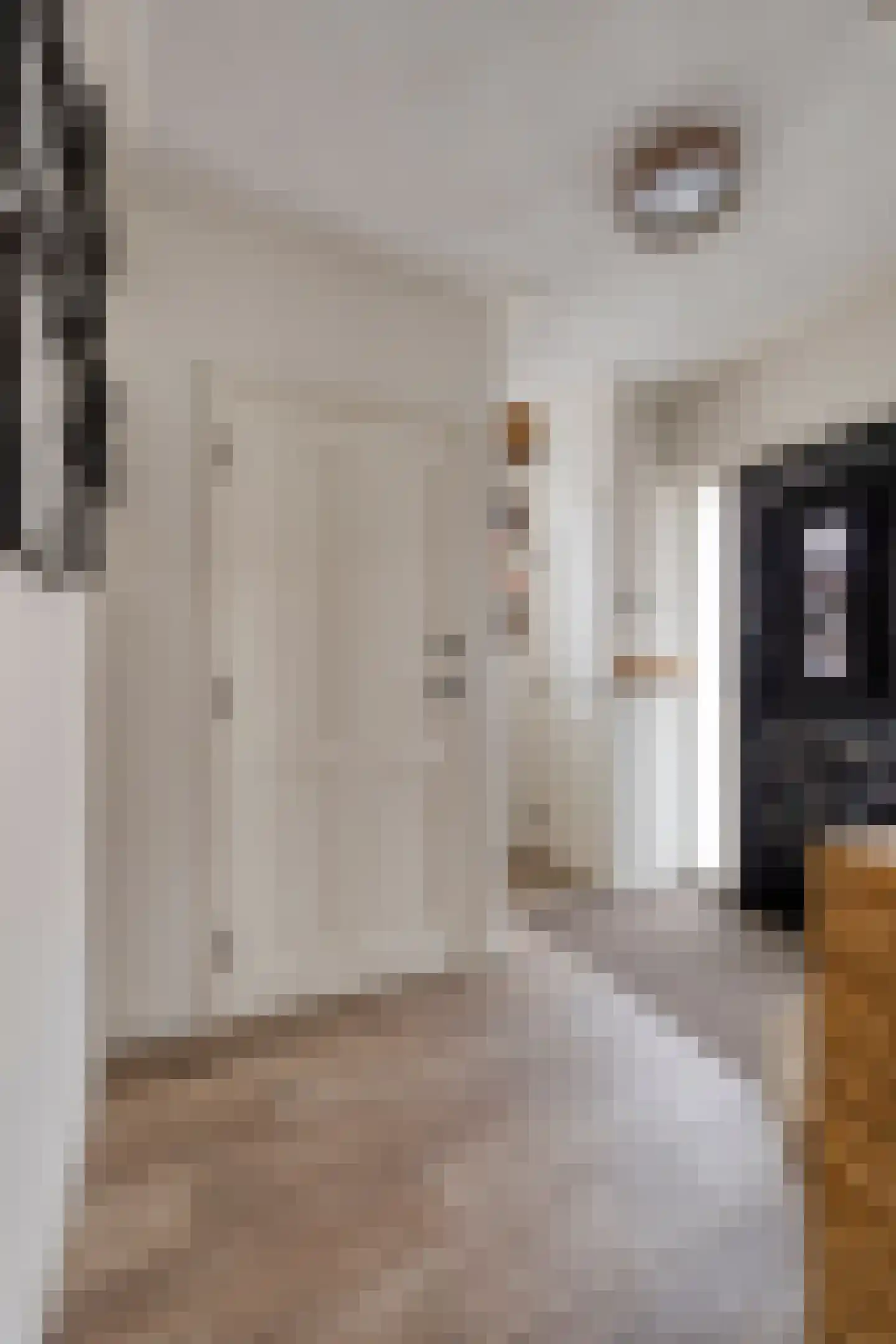 Vendelierstraat 2 Oirschot thumbnail 8