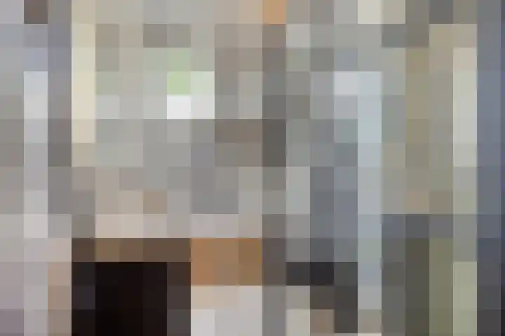 Vendelierstraat 8 Rosmalen thumbnail 23