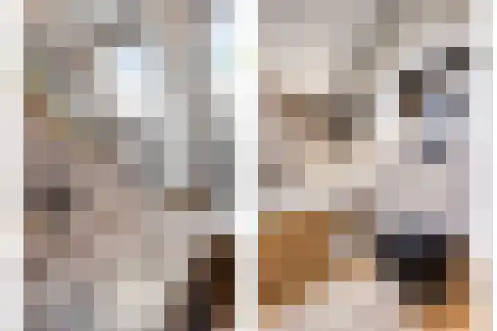Vendelierstraat 8 Rosmalen thumbnail 31