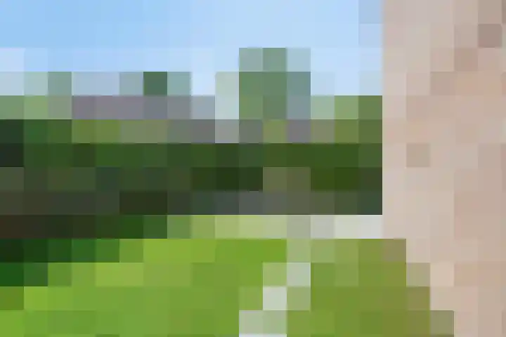 Vendelierstraat 8 Rosmalen thumbnail 37