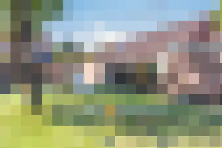Vendelierstraat 8 Rosmalen thumbnail 45