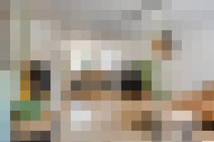 Vendelierstraat 8 Rosmalen thumbnail 5