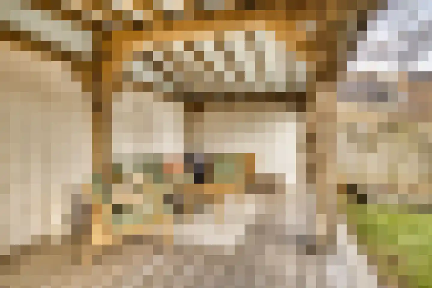 Vendelierstraat 9 Groesbeek thumbnail 33