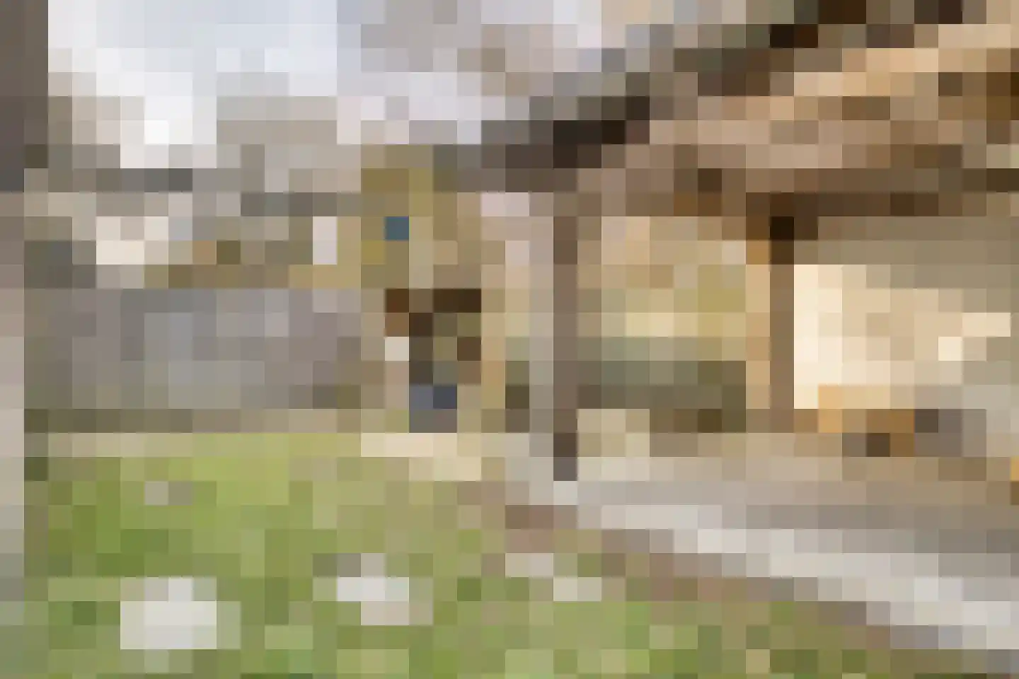 Vendelierstraat 9 Groesbeek thumbnail 34