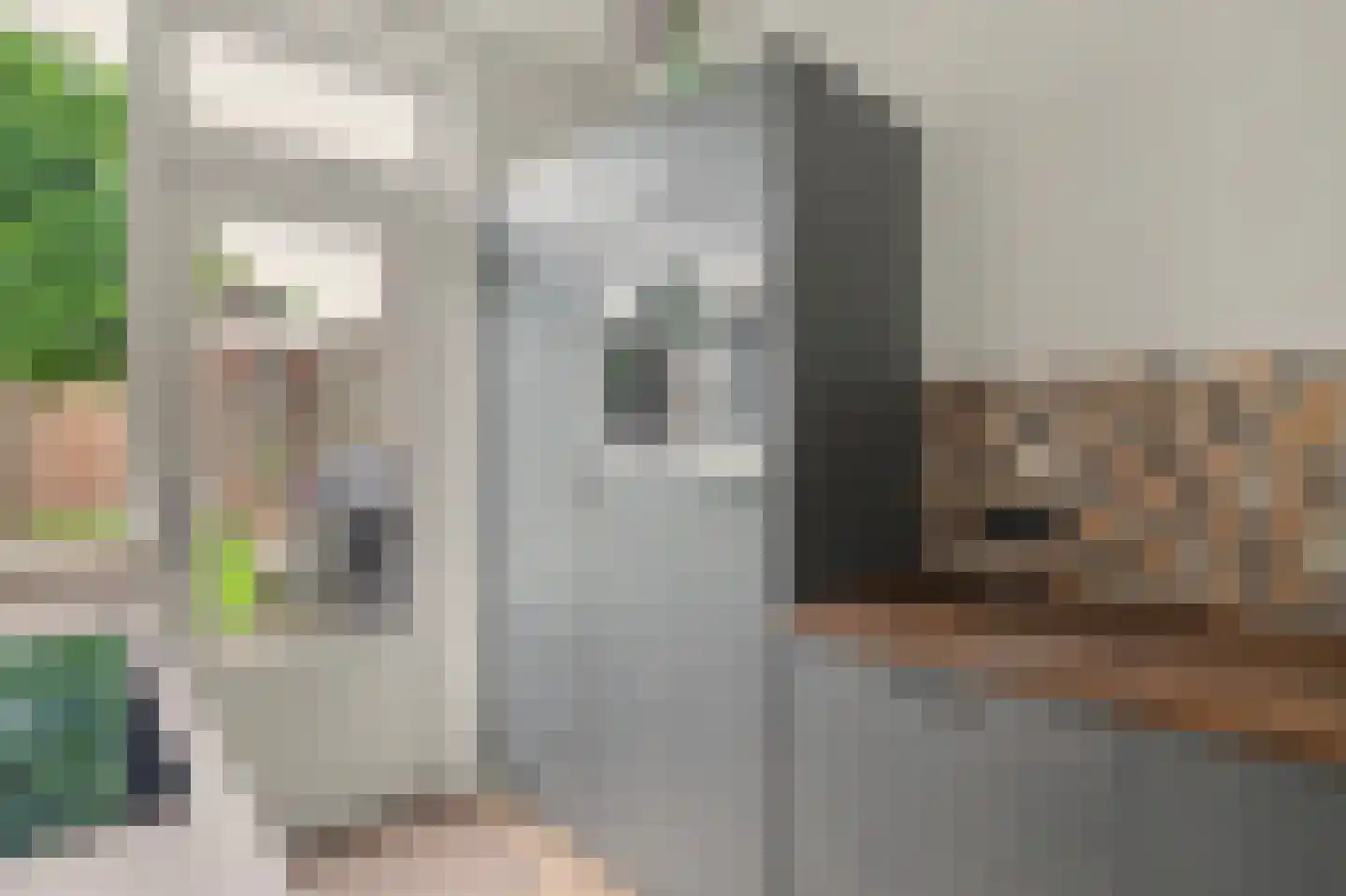 Vendellaan 1 Hilvarenbeek thumbnail 11