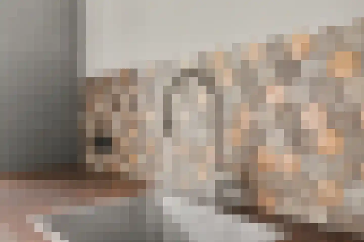 Vendellaan 1 Hilvarenbeek thumbnail 13