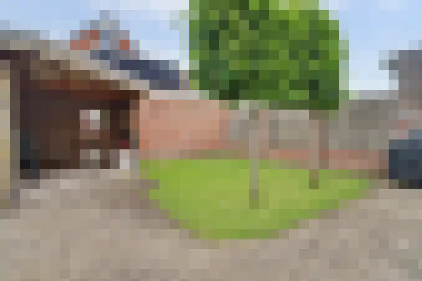 Vendellaan 1 Hilvarenbeek thumbnail 31