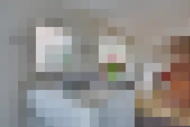 Vendellaan 21 Hilvarenbeek thumbnail 20