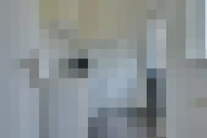 Vendellaan 21 Hilvarenbeek thumbnail 22