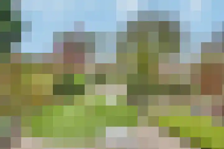 Vendellaan 21 Hilvarenbeek thumbnail 27