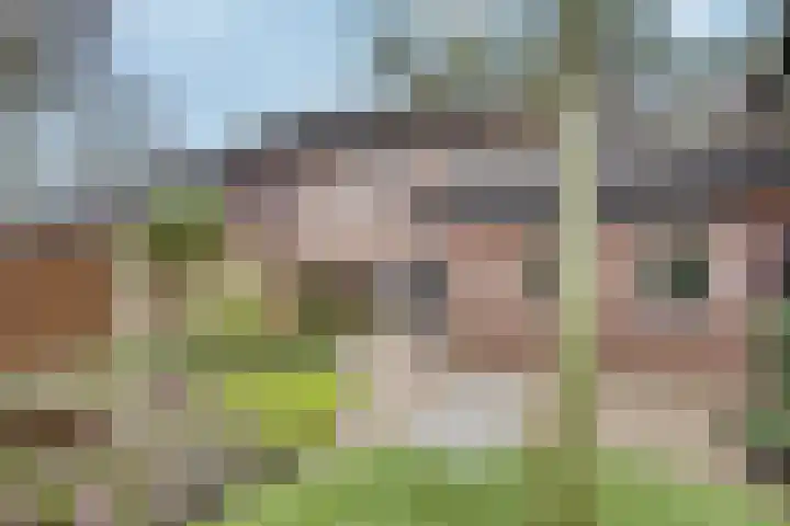 Vendellaan 21 Hilvarenbeek thumbnail 28
