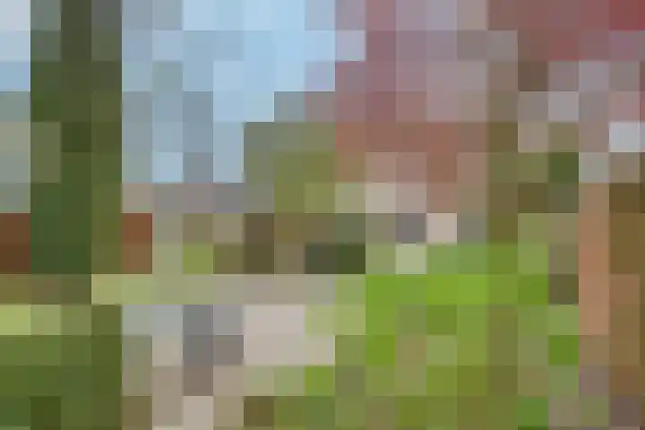Vendellaan 21 Hilvarenbeek thumbnail 29