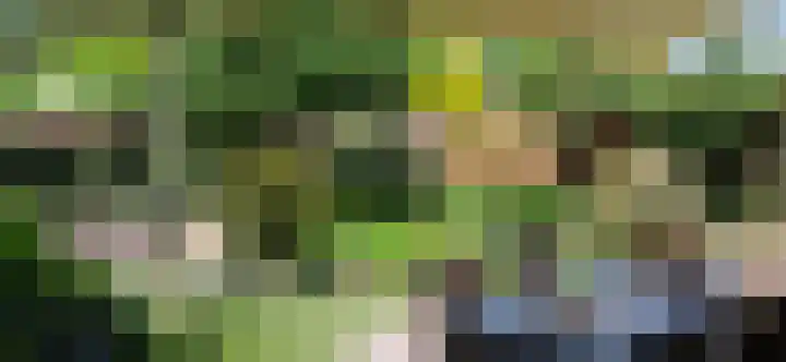 Vendellaan 21 Hilvarenbeek thumbnail 31
