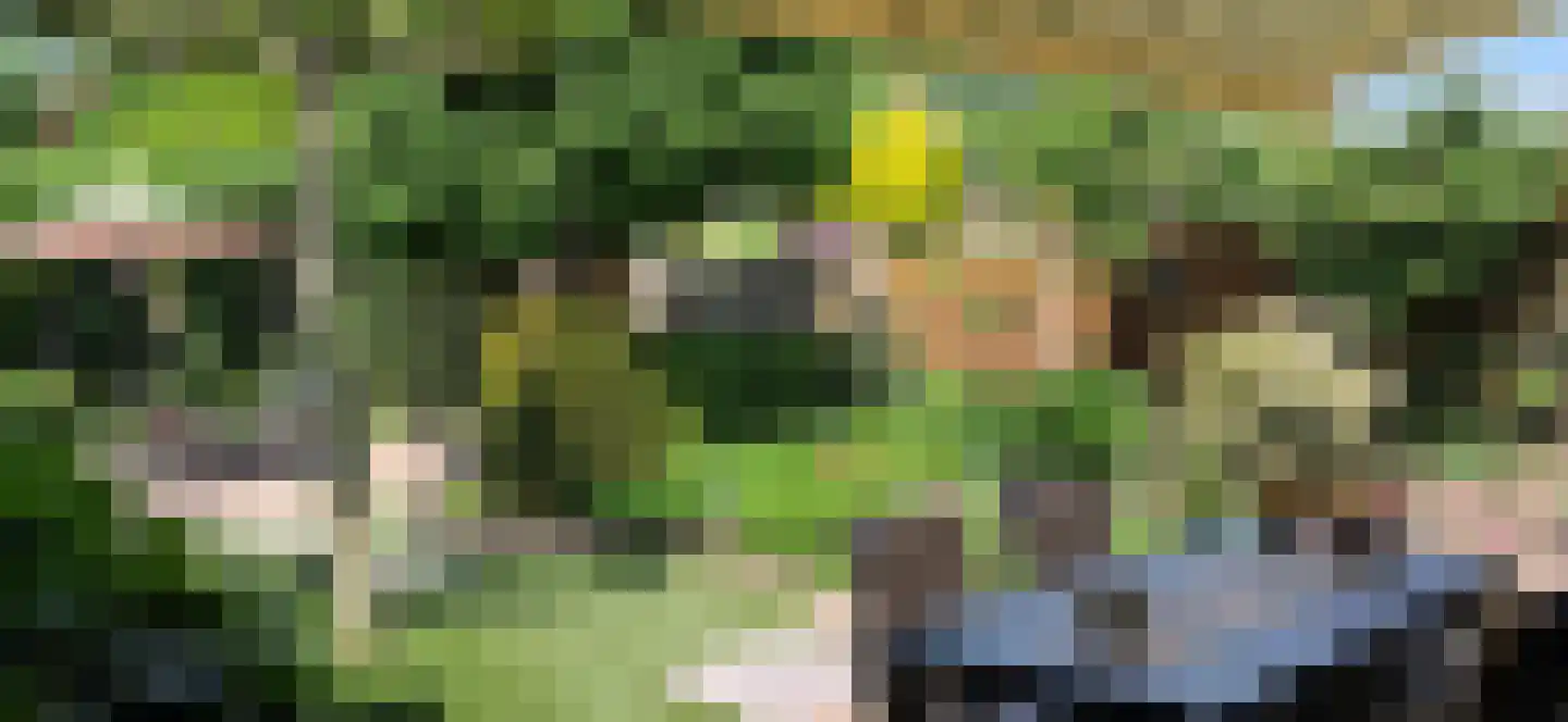 Vendellaan 21 Hilvarenbeek thumbnail 31