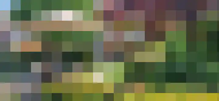 Vendellaan 21 Hilvarenbeek thumbnail 32