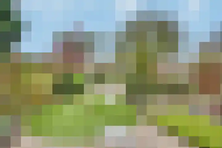 Vendellaan 21 Hilvarenbeek thumbnail 4