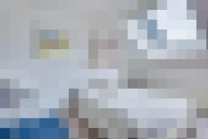 Vendellaan 21 Hilvarenbeek thumbnail 41