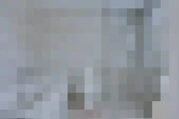 Vendellaan 21 Hilvarenbeek thumbnail 47