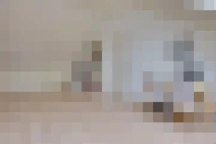 Vendellaan 21 Hilvarenbeek thumbnail 54