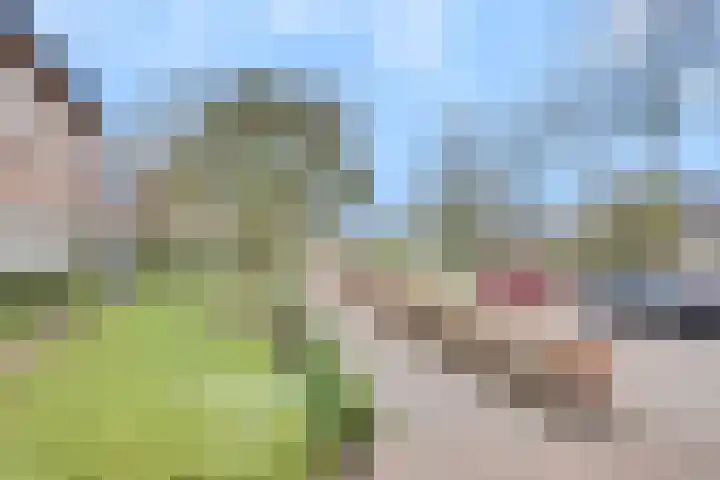 Vendellaan 21 Hilvarenbeek thumbnail 7