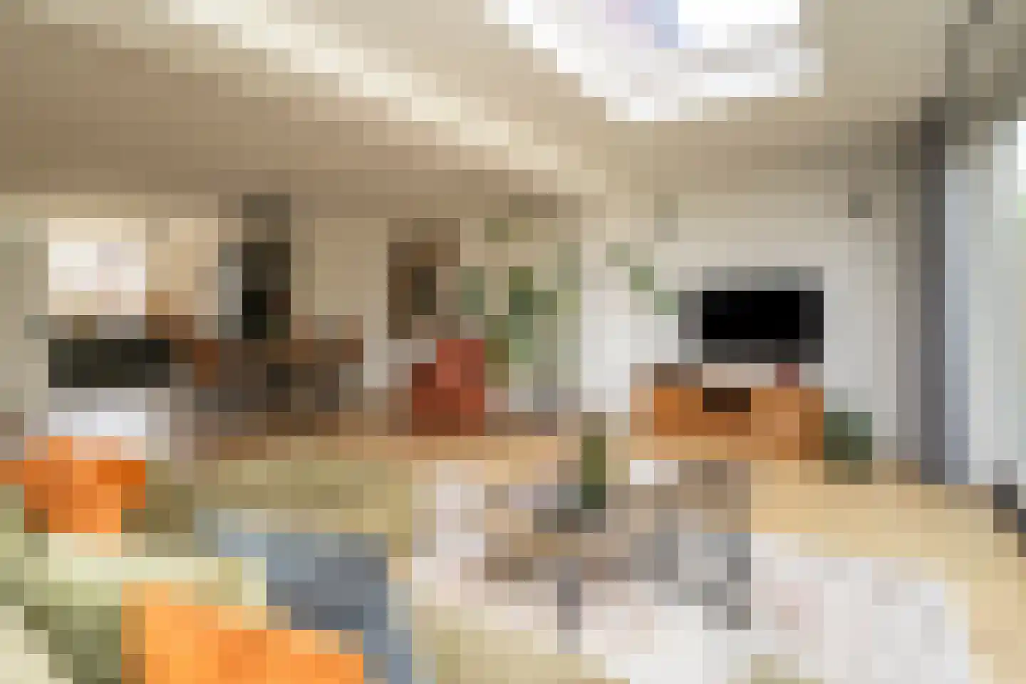 Vendellaan 7 Hilvarenbeek thumbnail 10