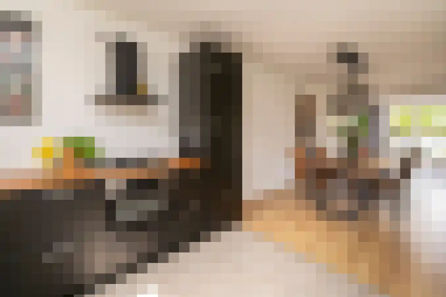 Vendellaan 7 Hilvarenbeek thumbnail 18