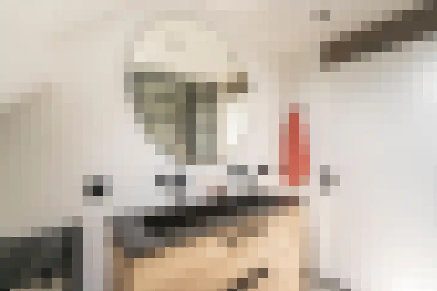 Vendellaan 7 Hilvarenbeek thumbnail 32