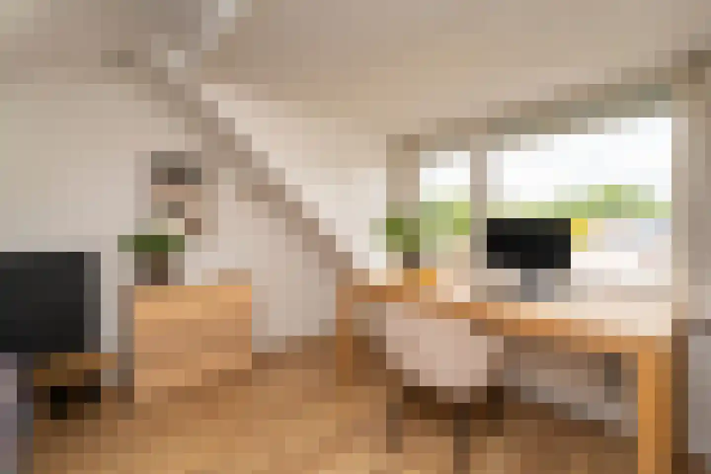 Vendellaan 7 Hilvarenbeek thumbnail 37