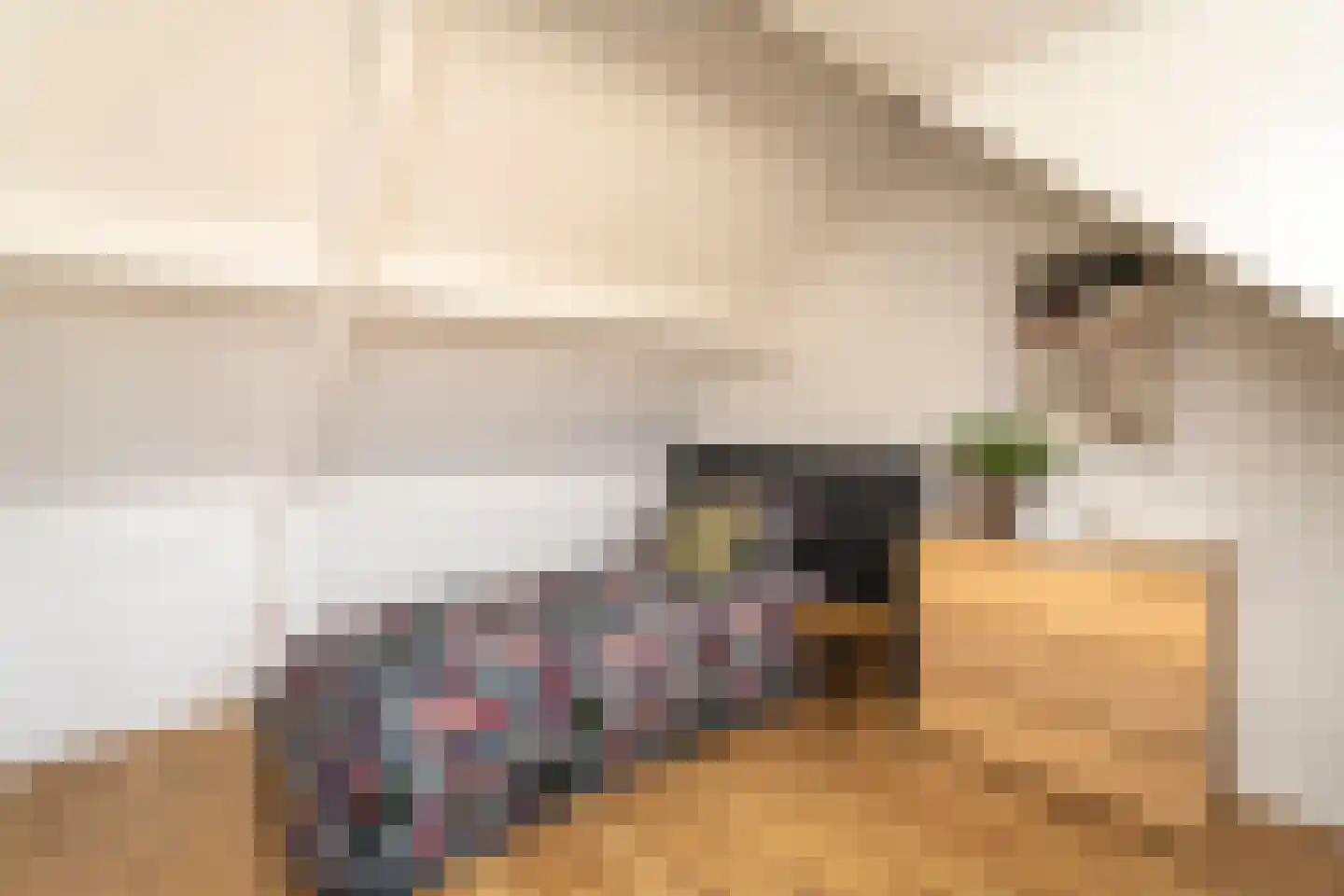 Vendellaan 7 Hilvarenbeek thumbnail 38