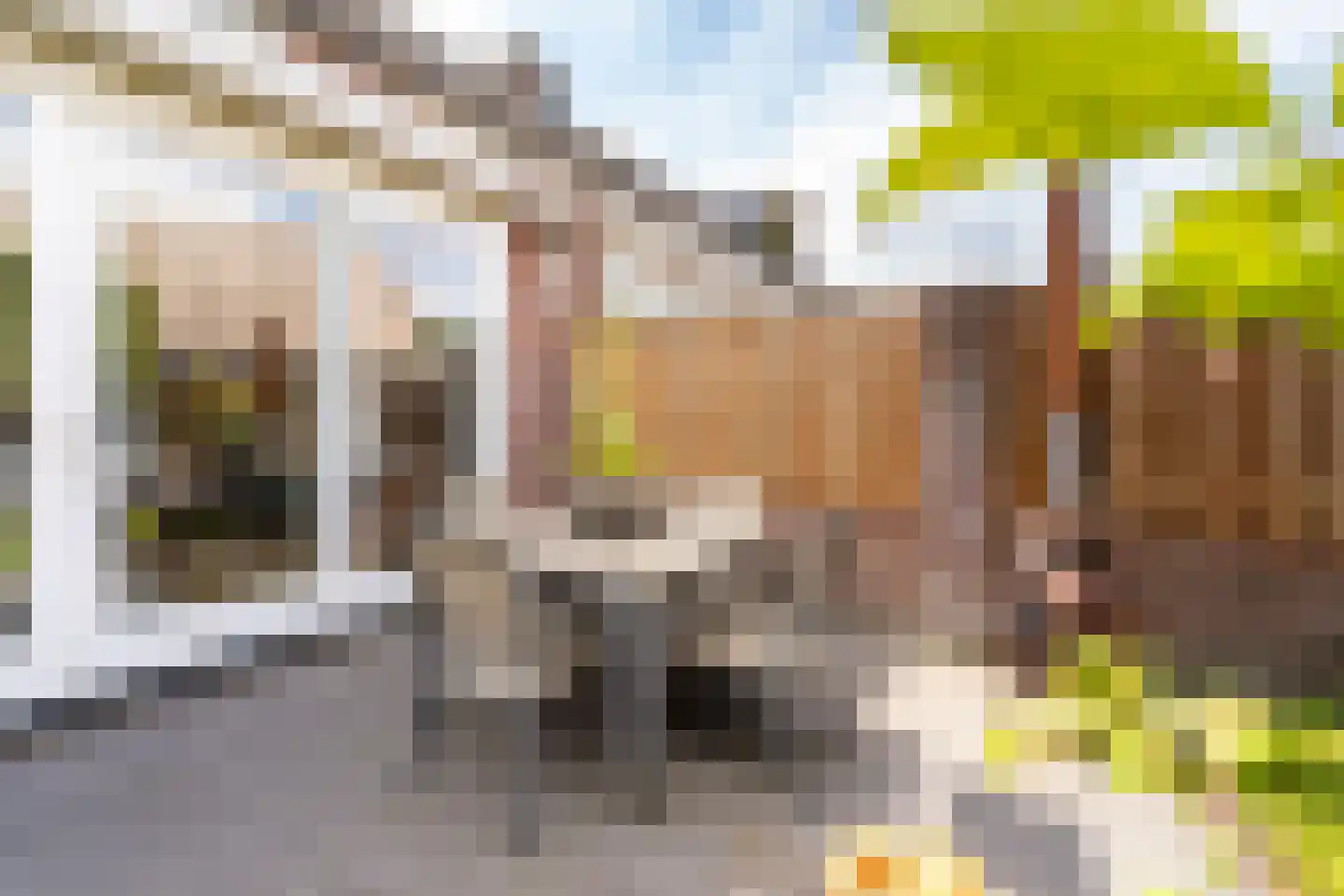 Vendellaan 7 Hilvarenbeek thumbnail 41