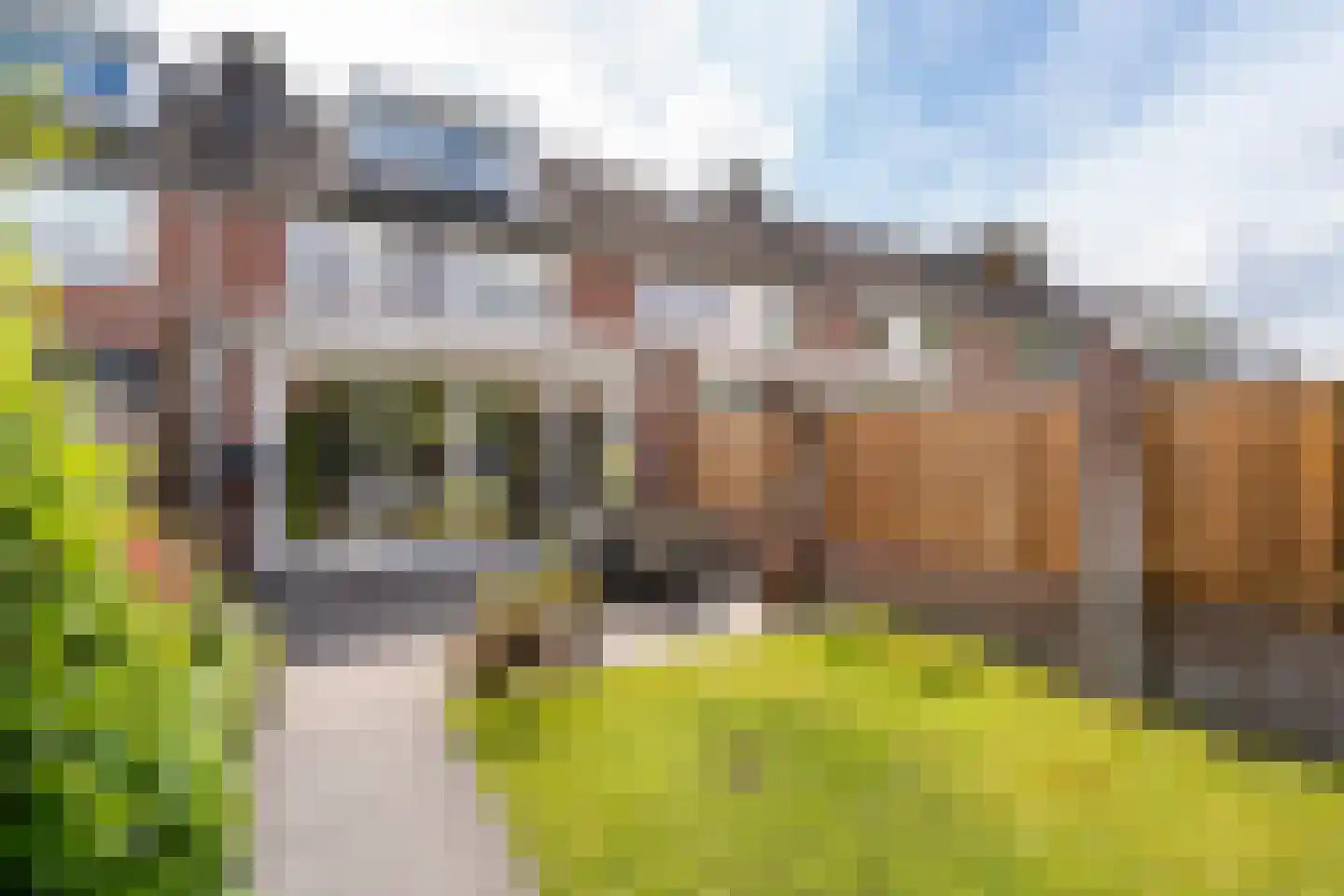 Vendellaan 7 Hilvarenbeek thumbnail 43