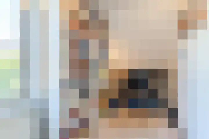 Vendelplein 18 Haaren thumbnail 27
