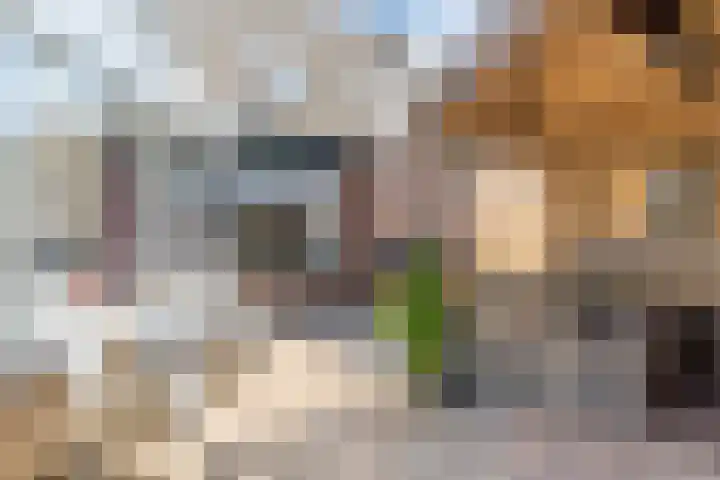 Vendelplein 18 Haaren thumbnail 32