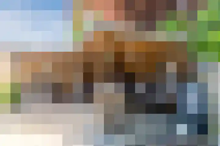 Vendelplein 18 Haaren thumbnail 35