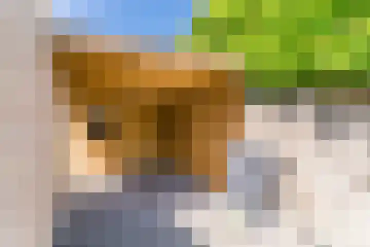 Vendelplein 18 Haaren thumbnail 39