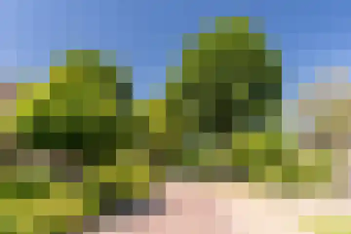 Vendelplein 18 Haaren thumbnail 41