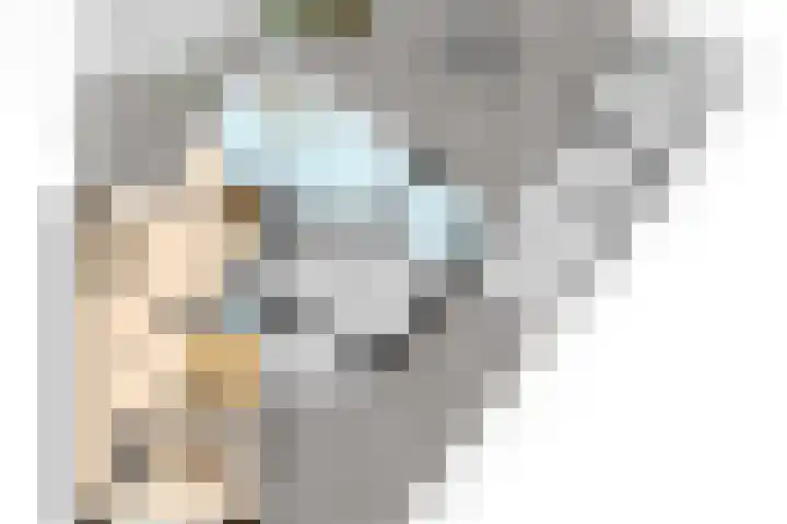 Vendelplein 18 Haaren thumbnail 46
