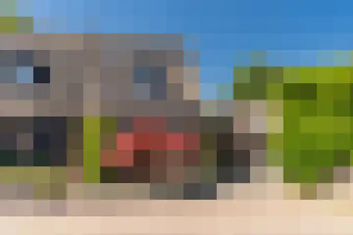 Vendelplein 18 Haaren thumbnail 48