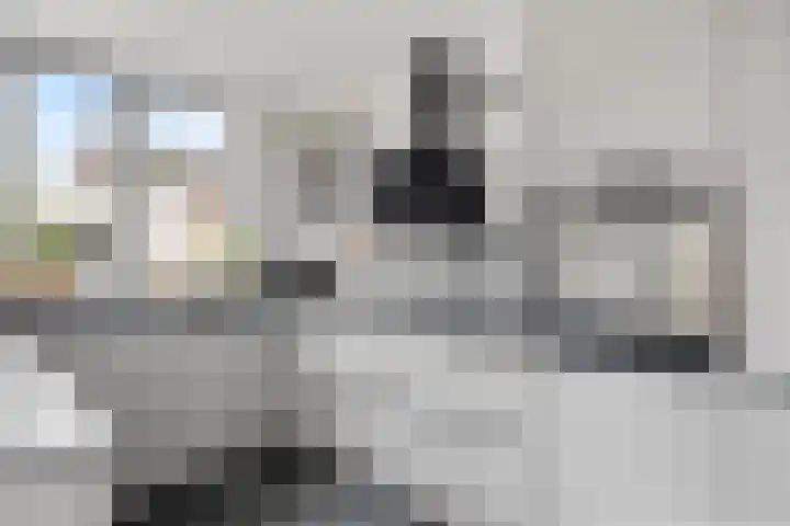 Vendelplein 5 Haaren thumbnail 16