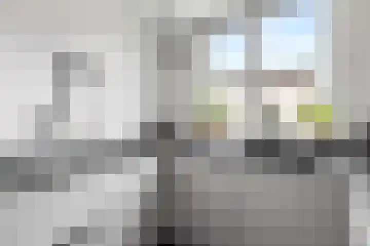 Vendelplein 5 Haaren thumbnail 17