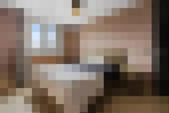 Vendelplein 5 Haaren thumbnail 20