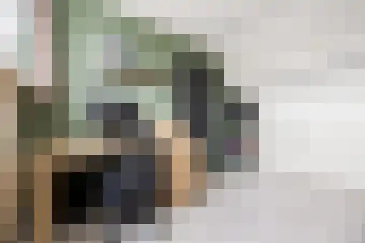 Vendelplein 5 Haaren thumbnail 28