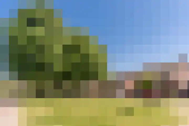 Vendelplein 5 Haaren thumbnail 36