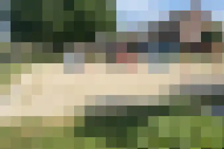 Vendelplein 5 Haaren thumbnail 37