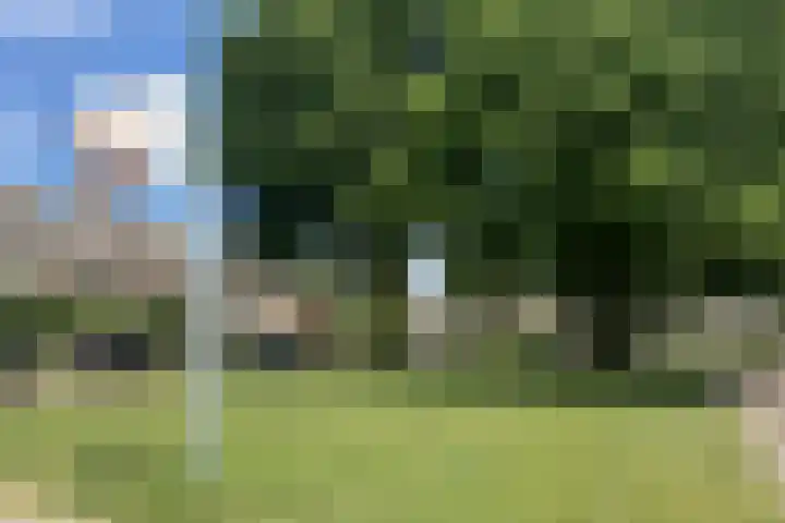 Vendelplein 5 Haaren thumbnail 38