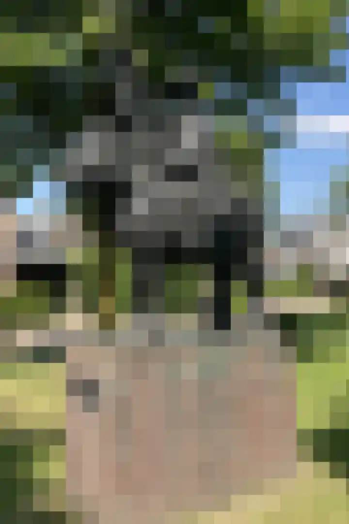 Vendelplein 5 Haaren thumbnail 39