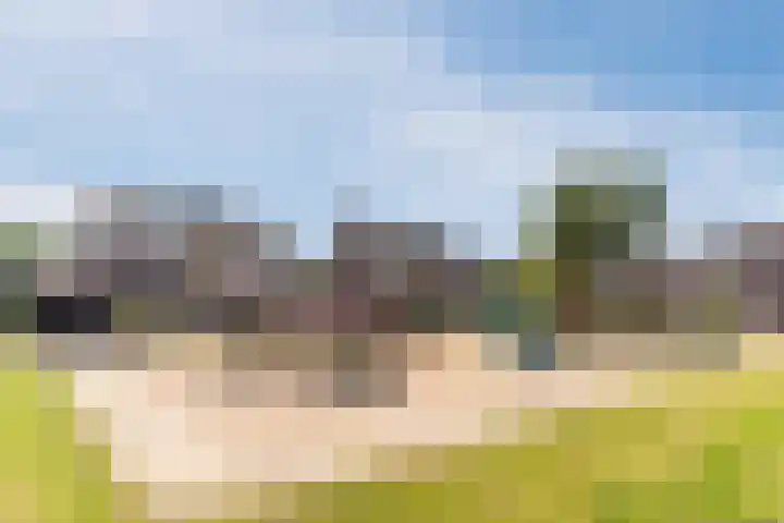 Vendelplein 5 Haaren thumbnail 5