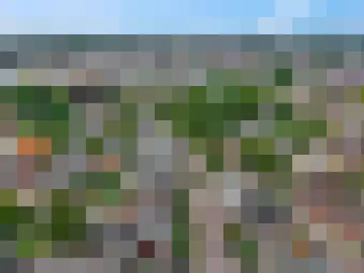 Vendelseweg 2 B Veenendaal thumbnail 27